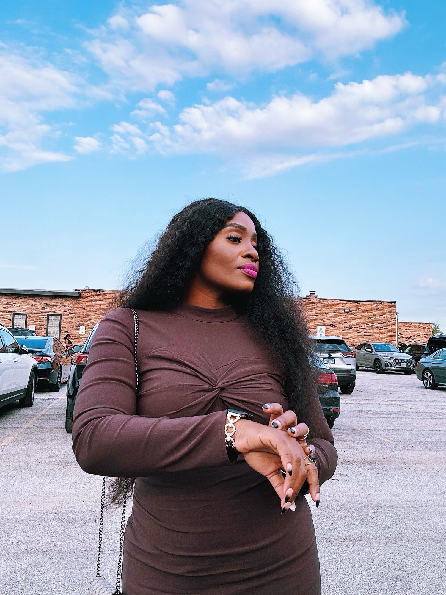 Embracing the colors in my Color Palette : Brown